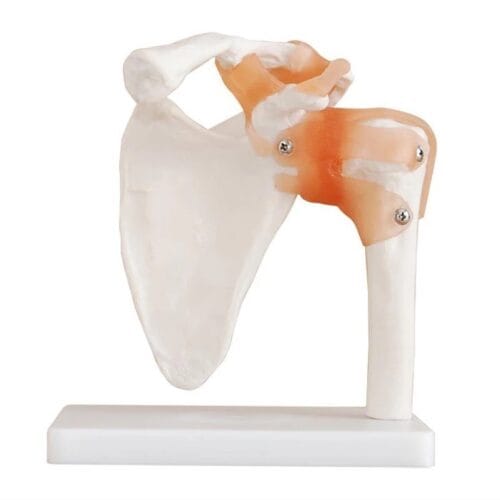 whatsapp image 2022 02 01 at 3.11.54 pm