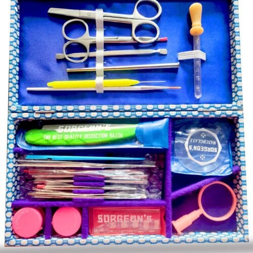 whatsapp image 2022 02 21 at 4.48.49 pm copy