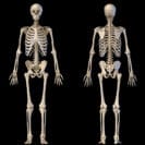 front and back views of full human pixelchaos