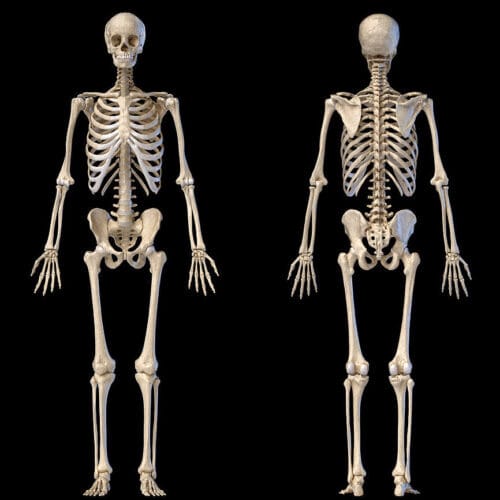 front and back views of full human pixelchaos