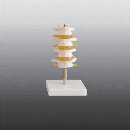 lumbar set 4pcs 500x500