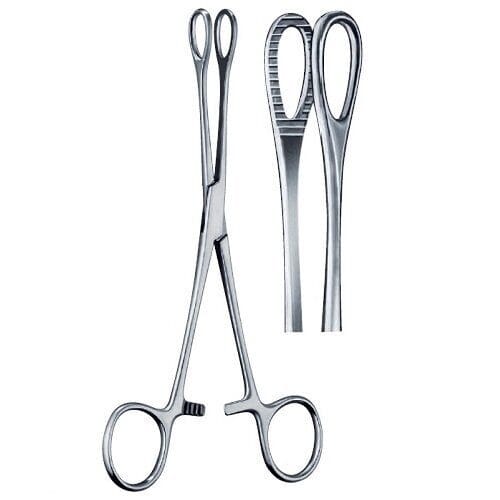 sponge holding forceps 500x500