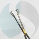 WhatsApp Image 2024-06-27 at 2.02.37 PM