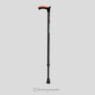 Walking Stick (With Silicone Pad)