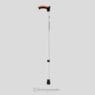 Walking Stick (With Silicone Pad)