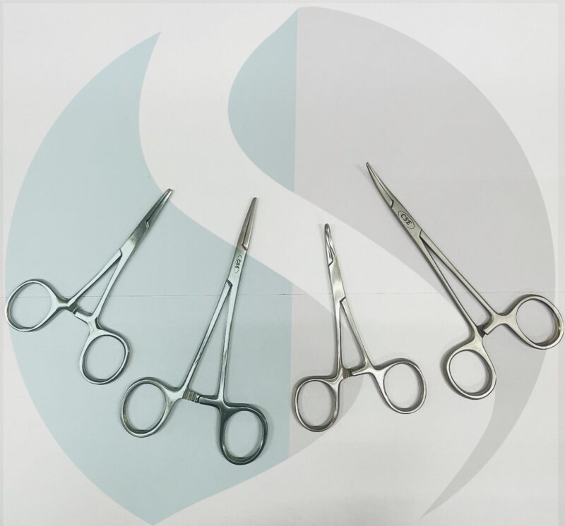 WhatsApp Image 2024-06-26 at 4.25.14 PM (1)