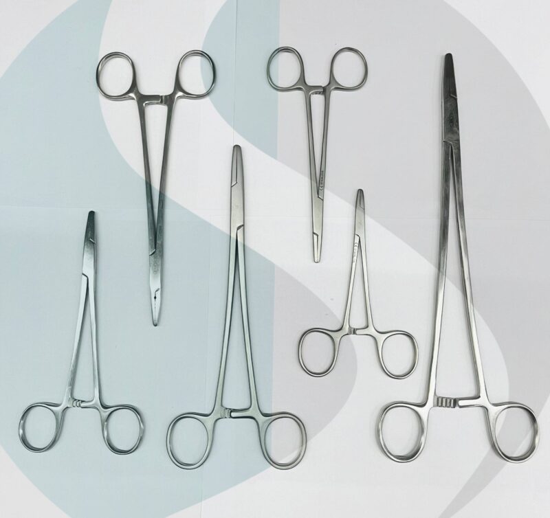 WhatsApp Image 2024-06-26 at 6.54.49 PM