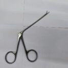 WhatsApp Image 2023-07-28 at 6.37.11 PM