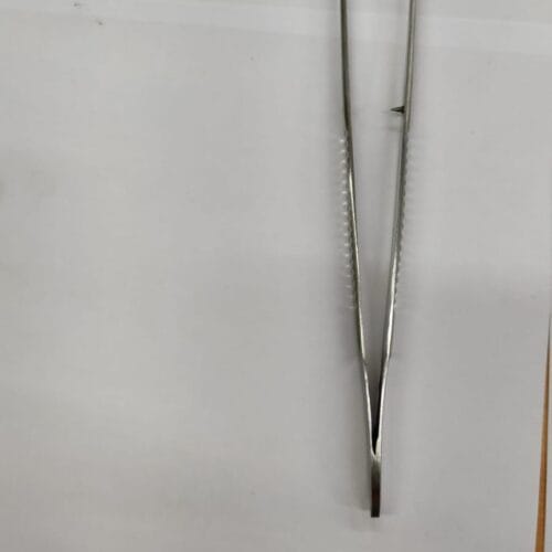 Tooth Forceps 7 inch