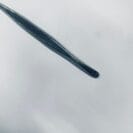 WhatsApp Image 2023-10-25 at 5.14.36 PM