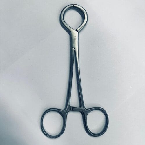 Hernia Forceps Ring Bladed Screw Joint (5.5 Inch)