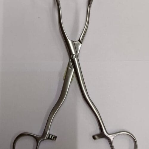 Piles Holding Forceps