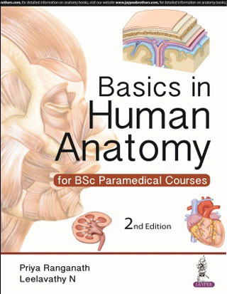 Basics in Human Anatomy