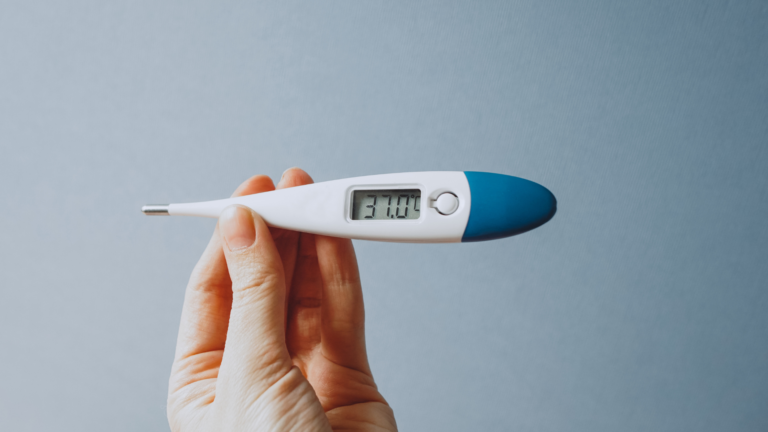 BPL Digital thermometer