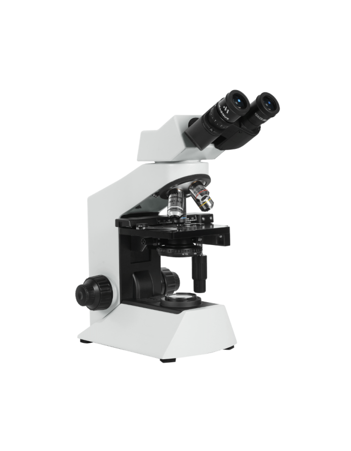 new_project_31_ new_project_31_