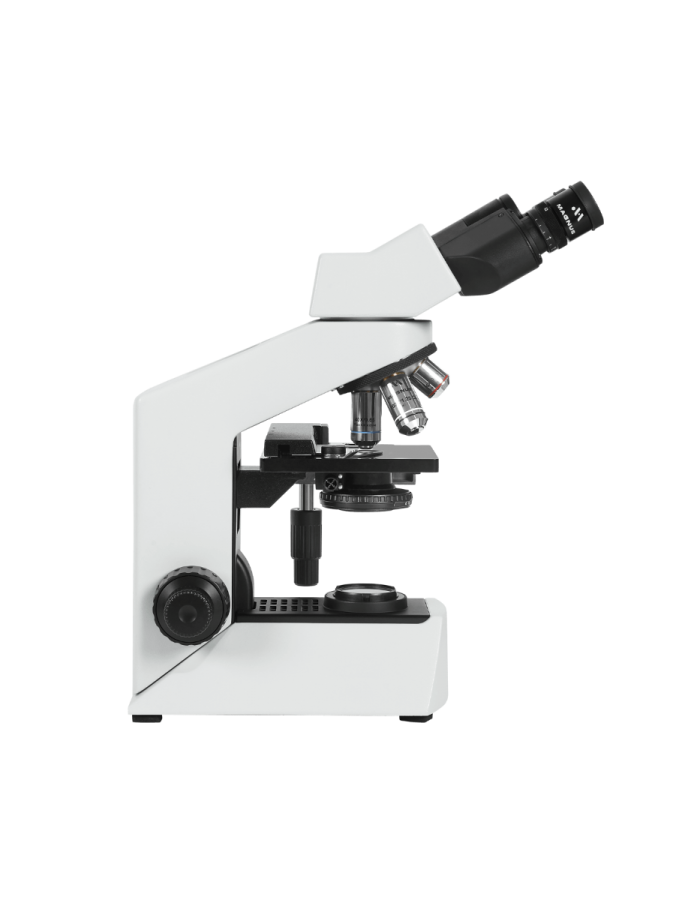 new_project_32_ new_project_32_